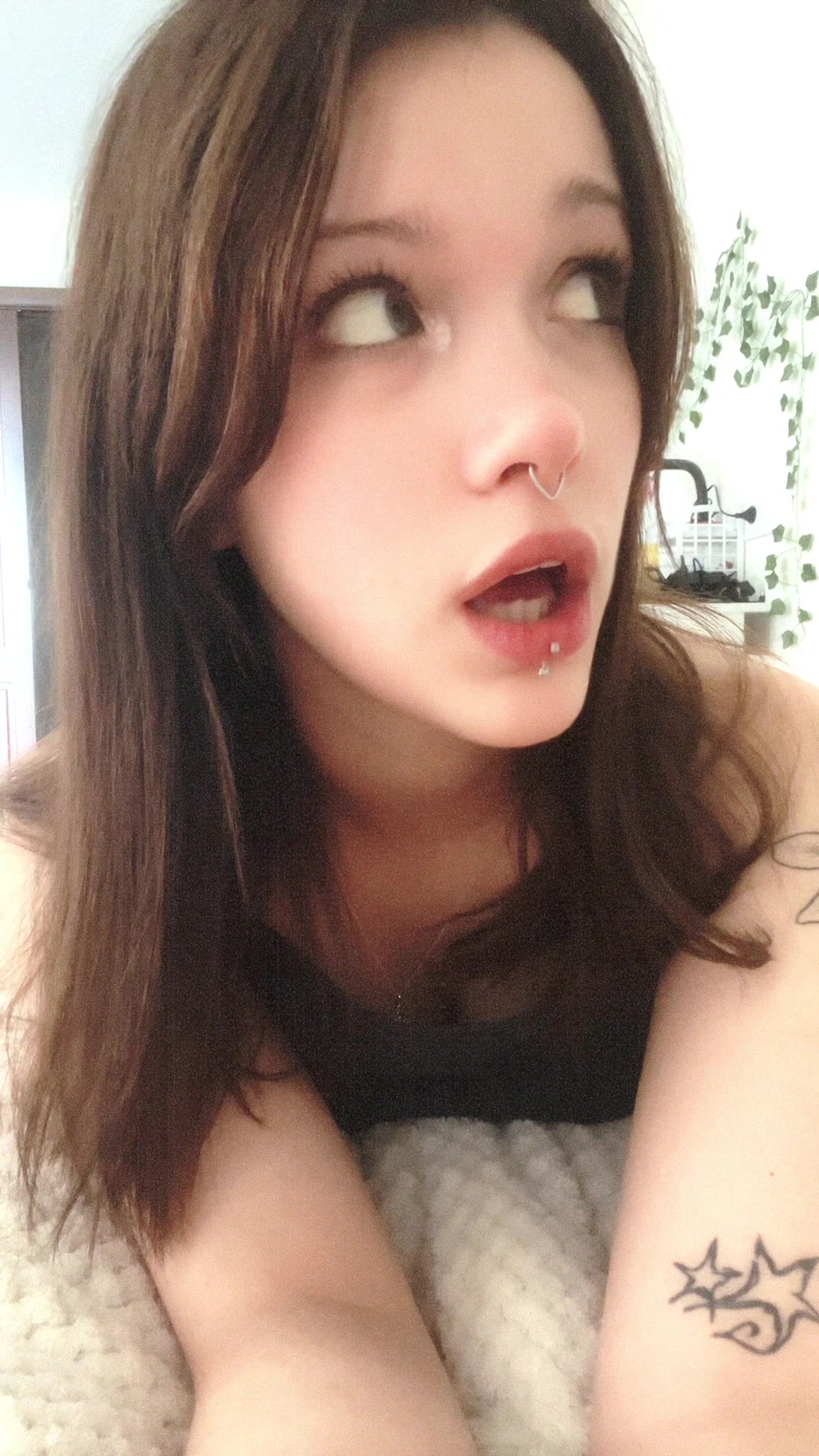 @☆&ensp;sashie