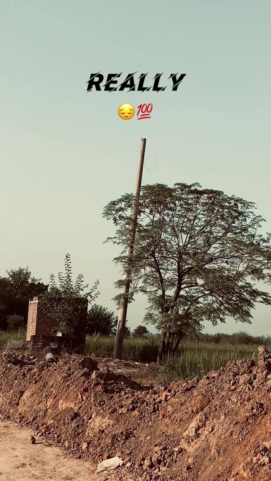 @🍁پنجاب_تے_پنجابی🍁