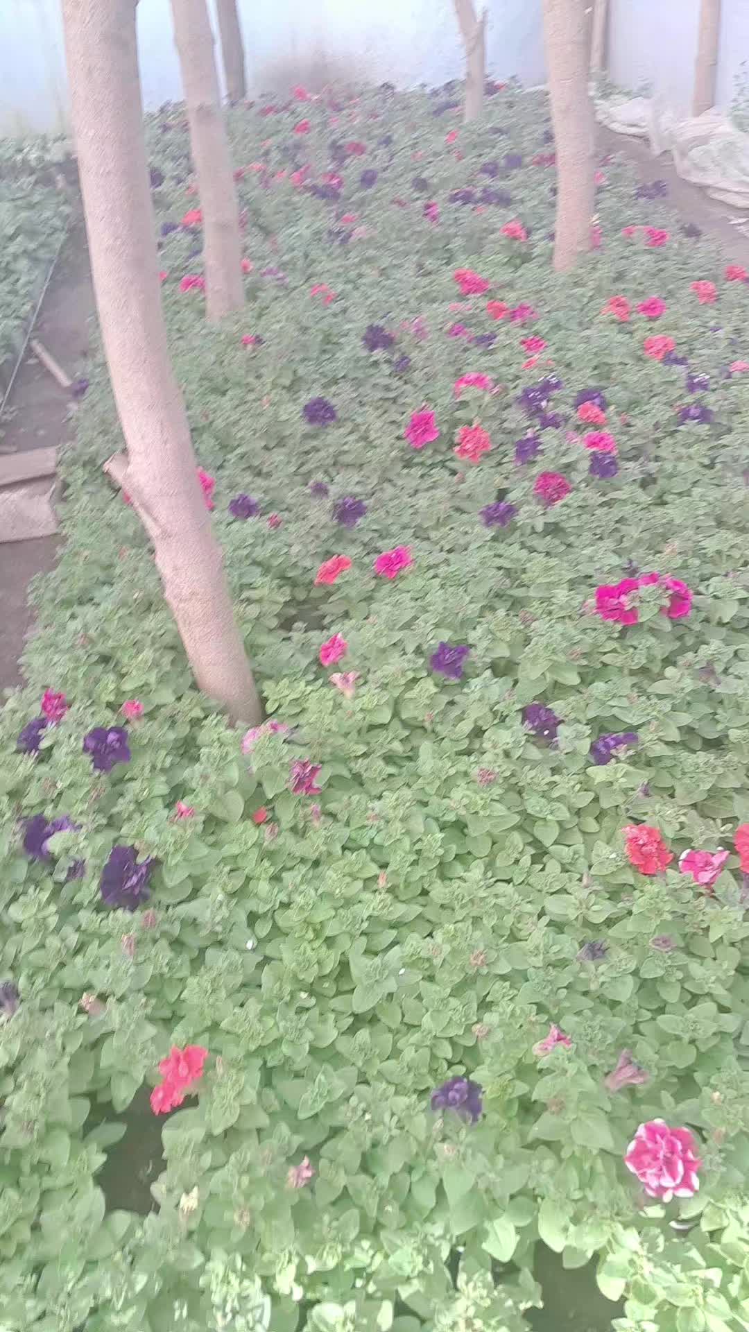 @ecaterinamorozan1