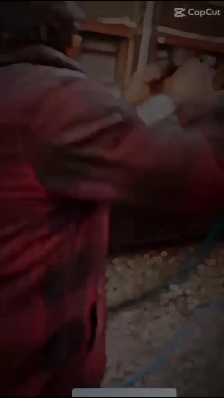 @bindamallpuria