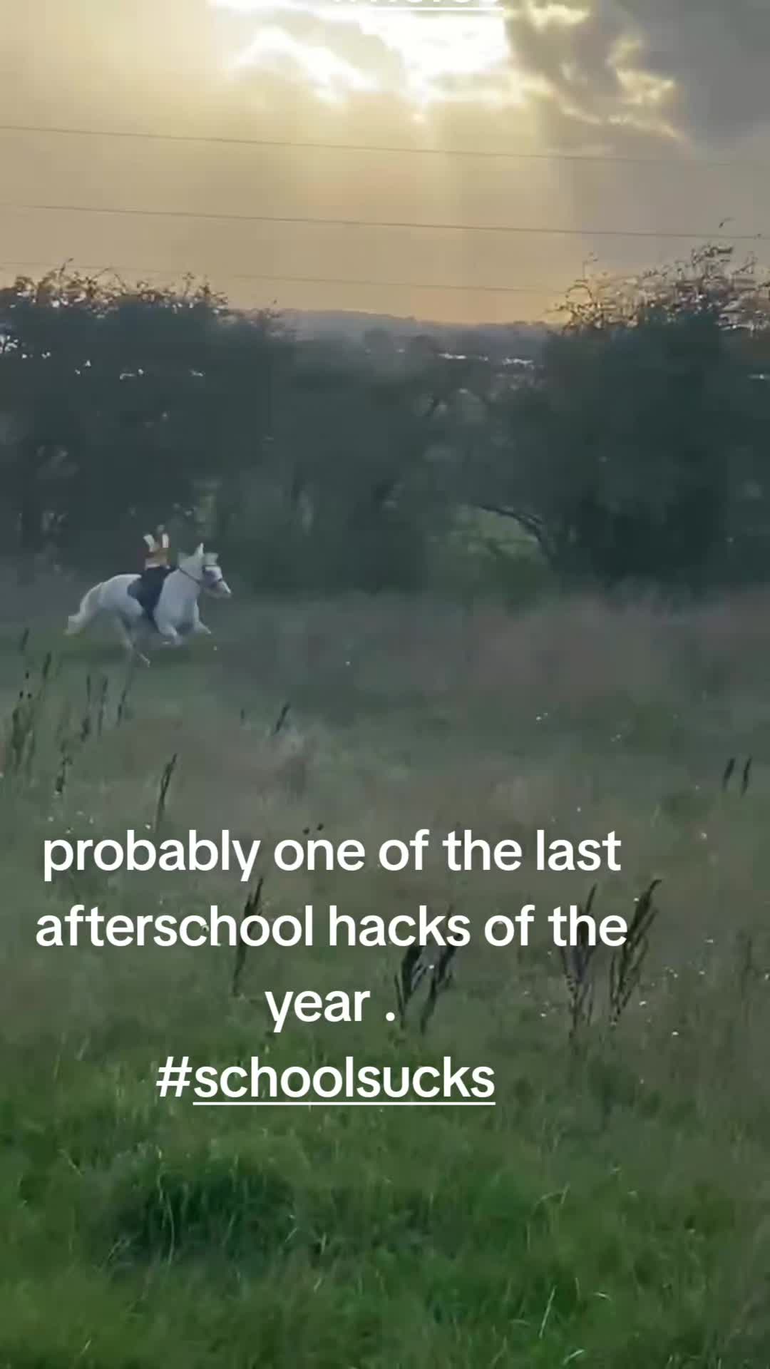 @ponymidlifecrisis
