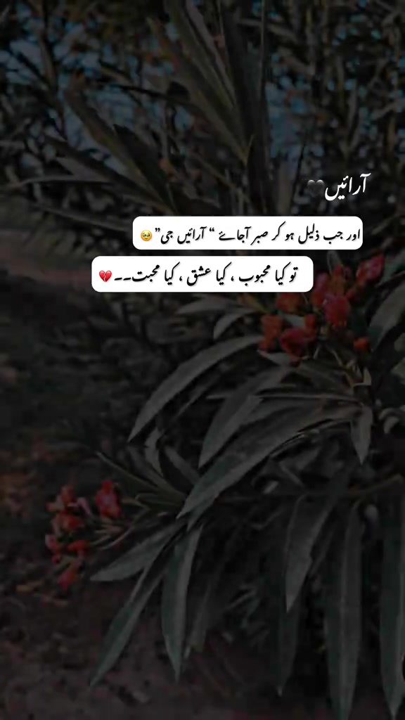 @𝙲ԩẳϋⓓʰẳг&yuml;💫✨