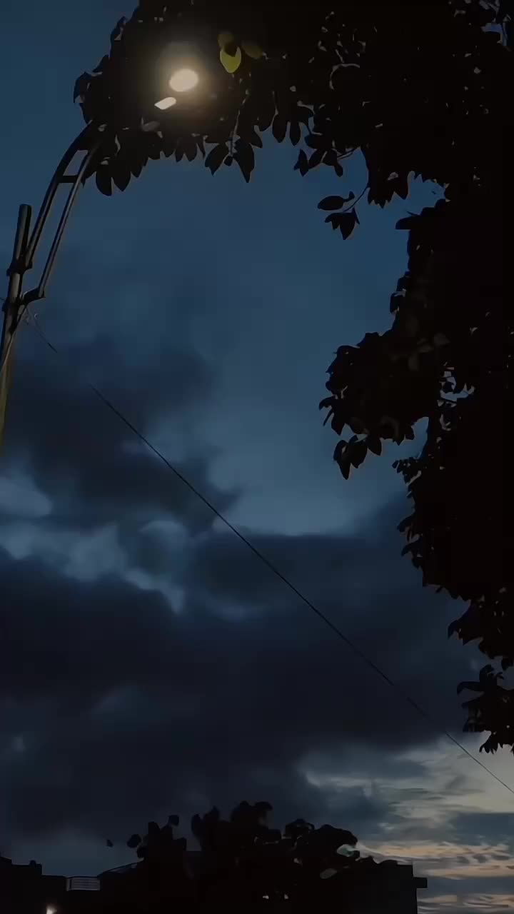 @𝙈 𝘼 𝘼 𝙃 𝙄🕊️&bull;