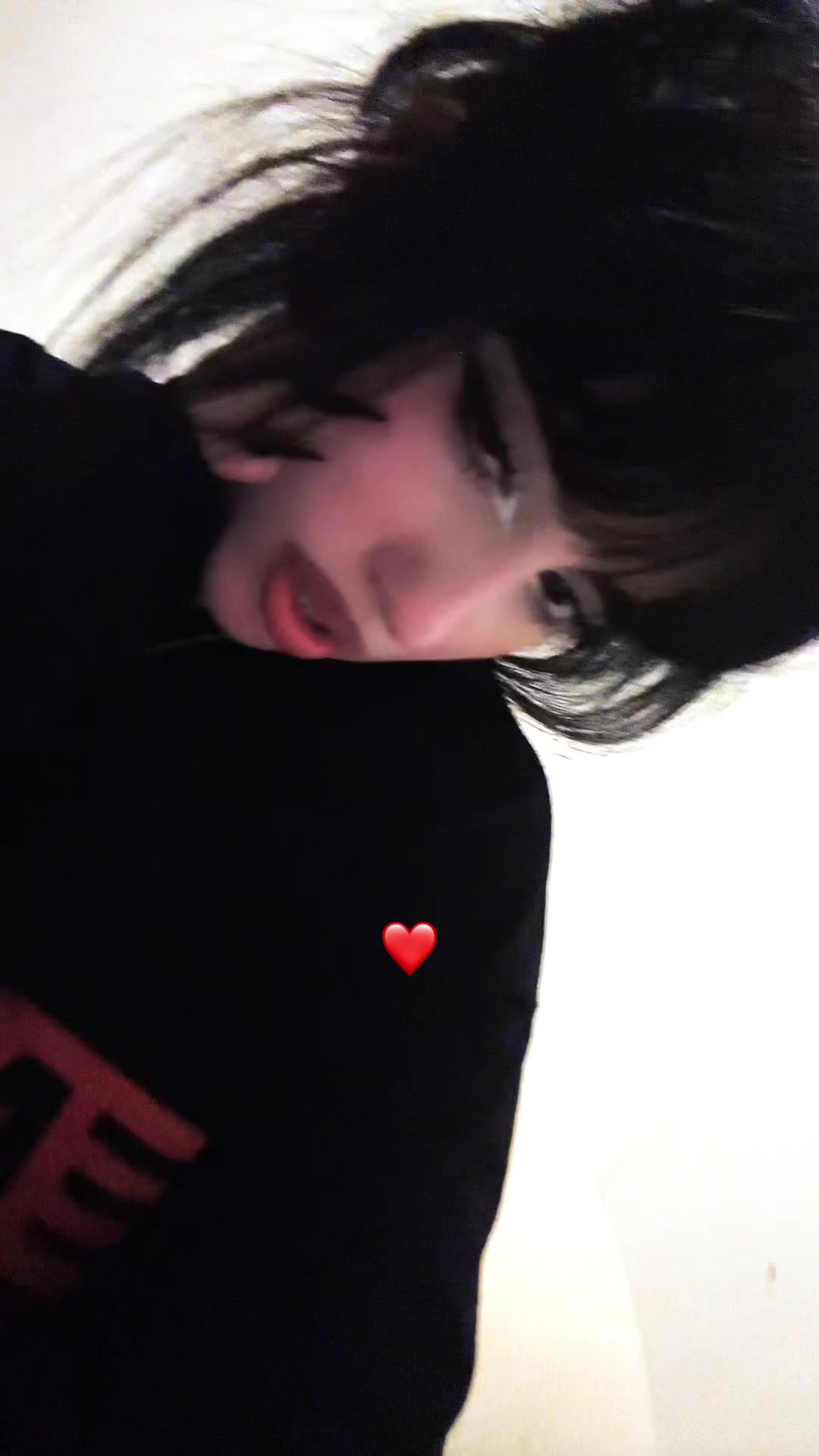 @chatdinosaure