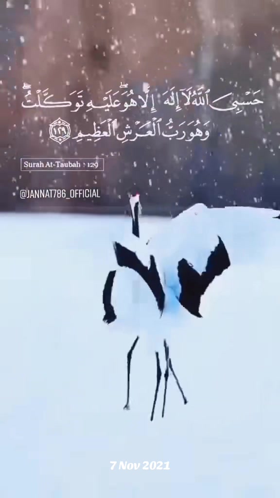 @👑᭄JANNAT࿐💎🦋