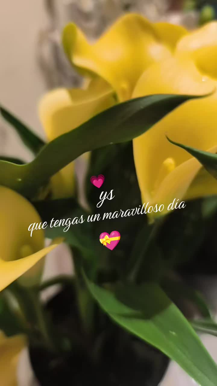@Yesenia Salazar
