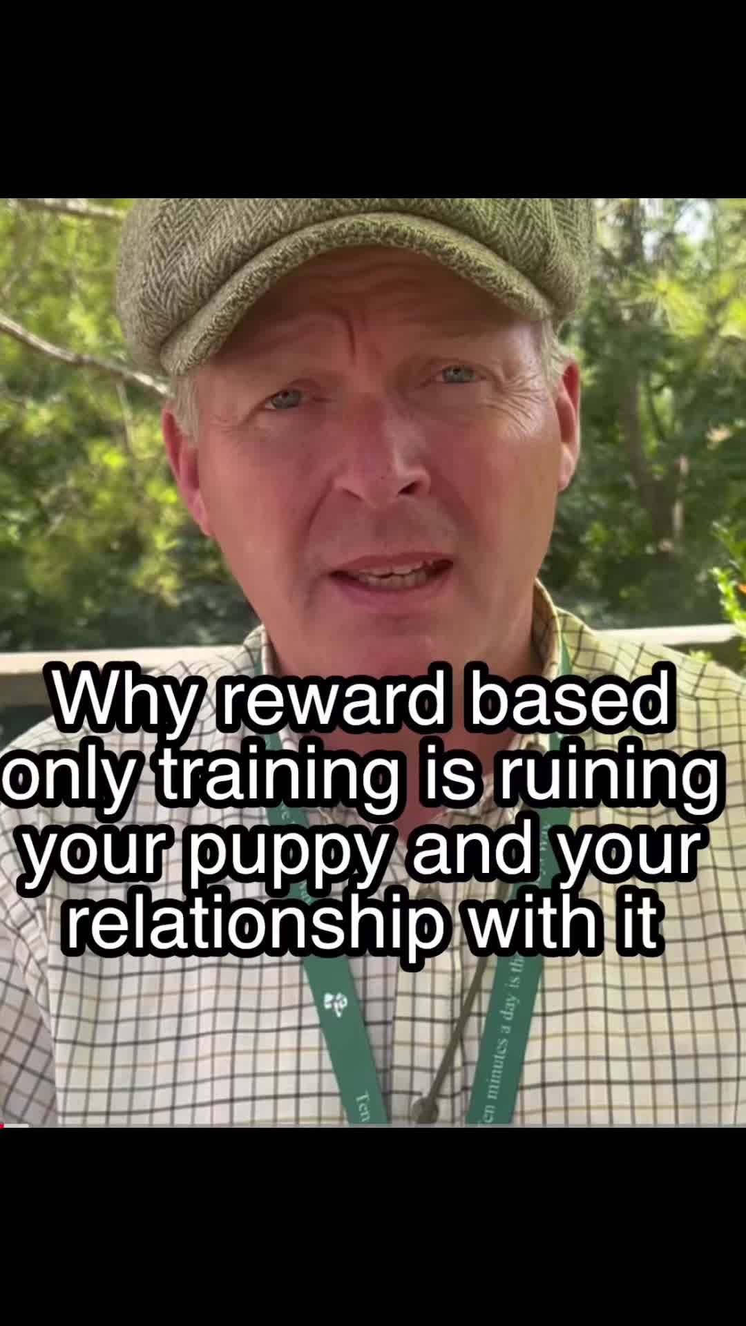 @Pipstar 🐕&zwj;🦺