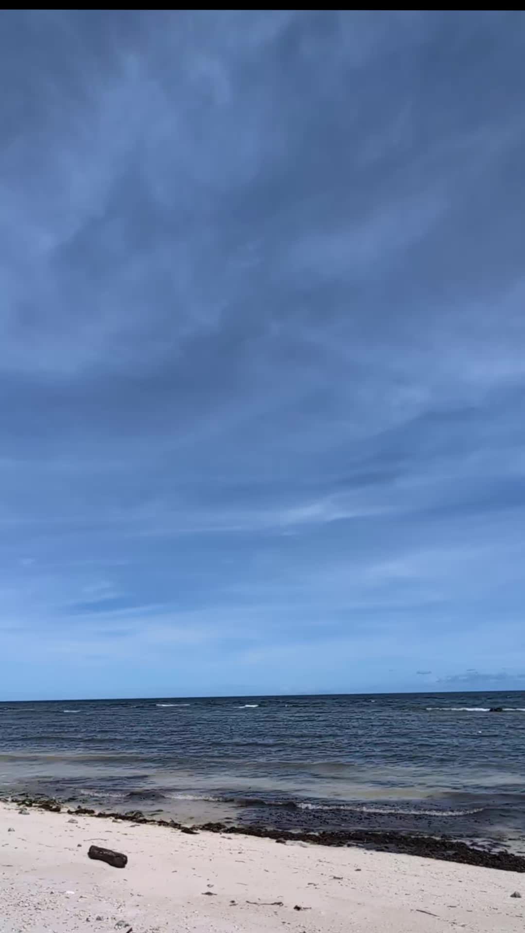 @Cecilia Johansson 🇸🇪