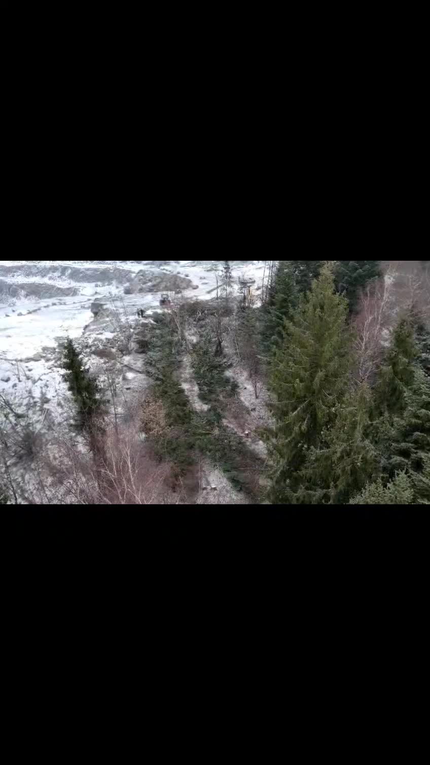 @forestSoban