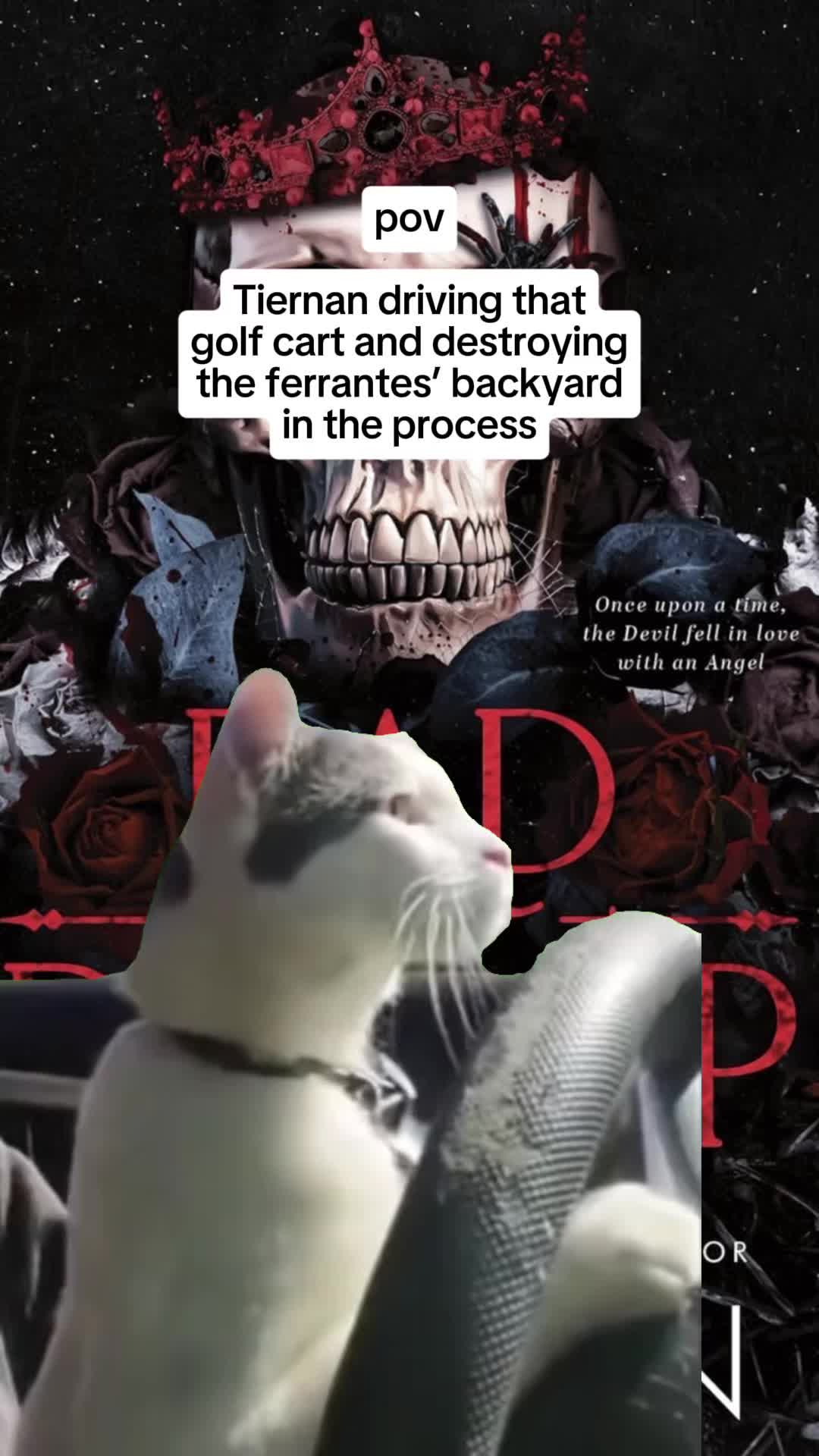 @LJShenbackup