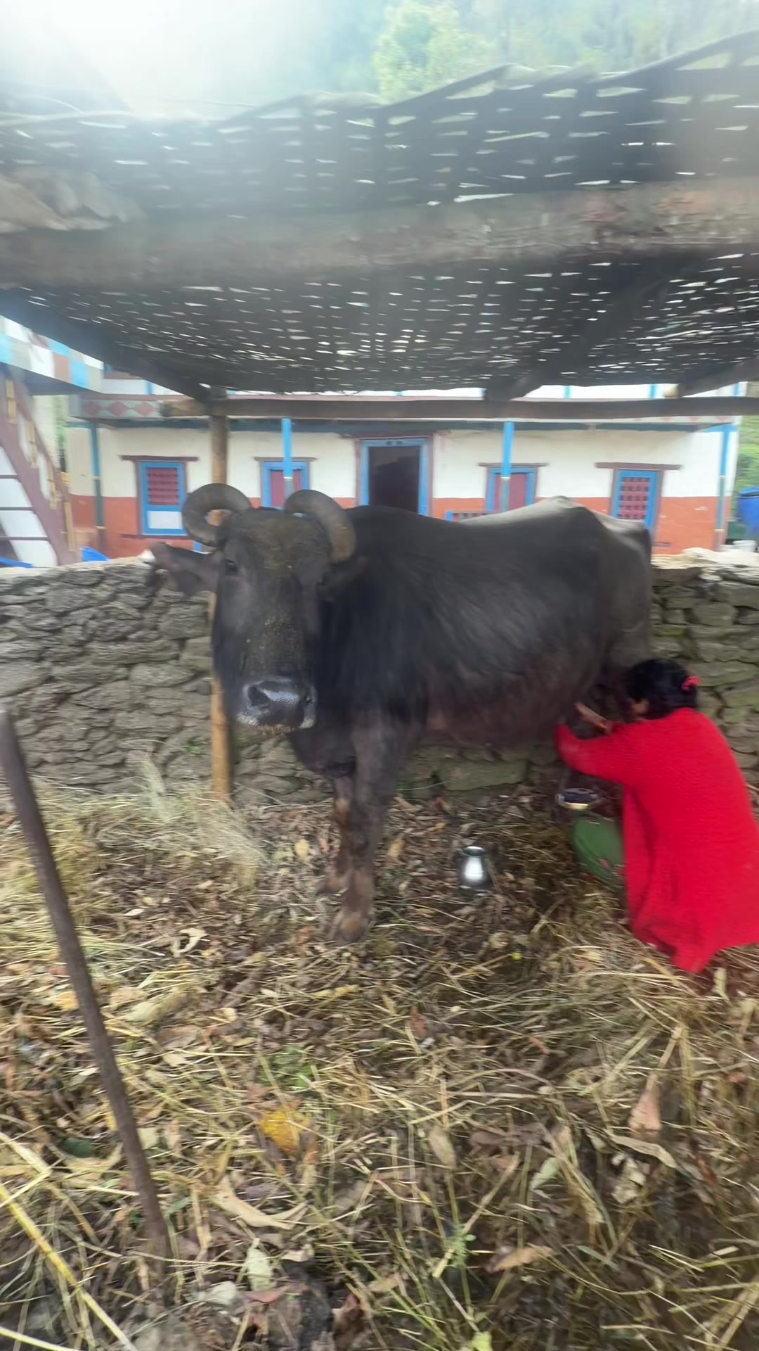 @Muna khadka