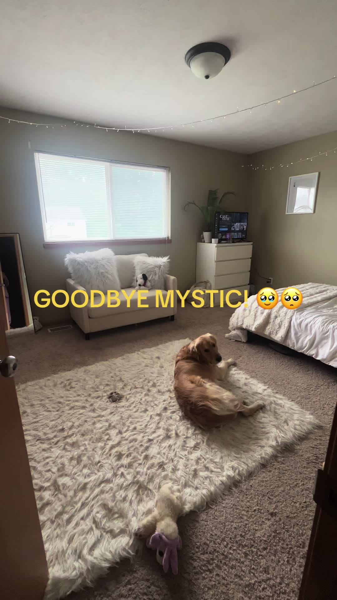 @MJ