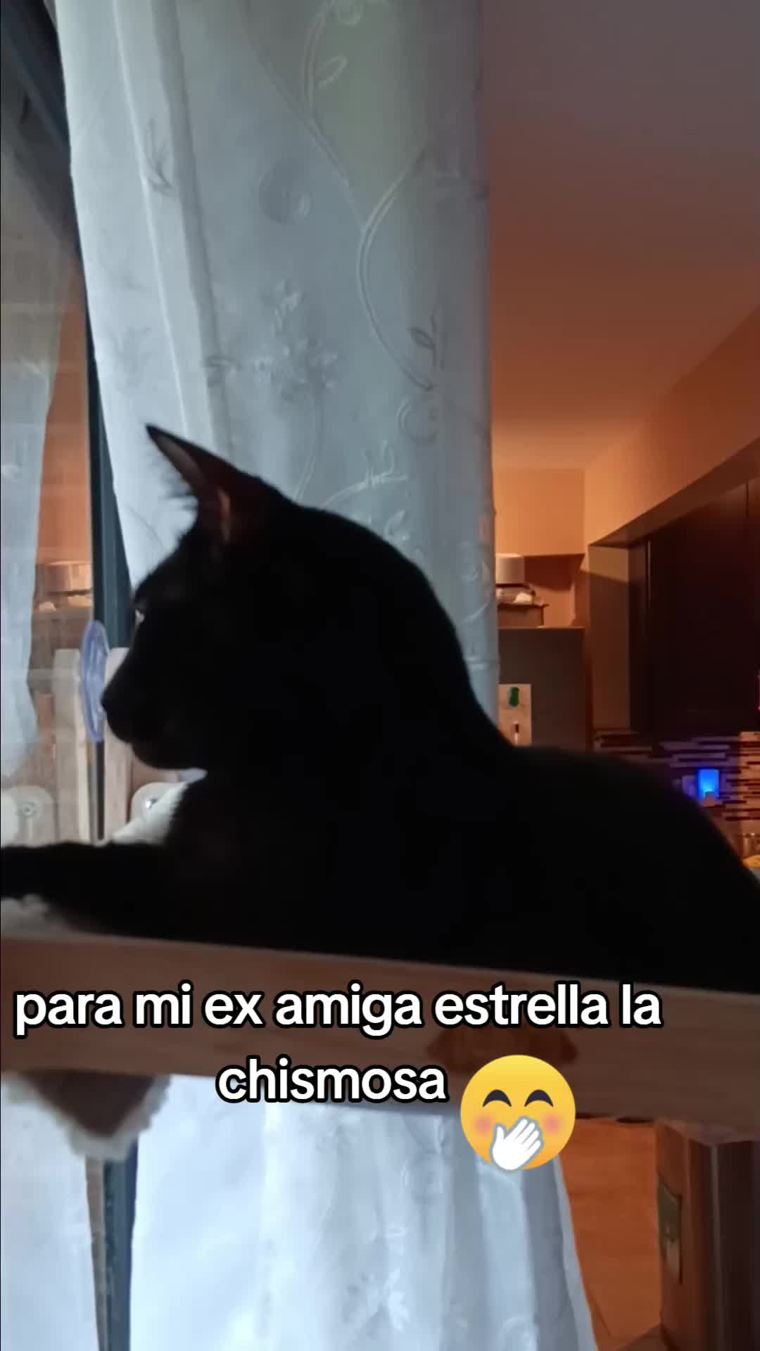 @Patricia 😽😼