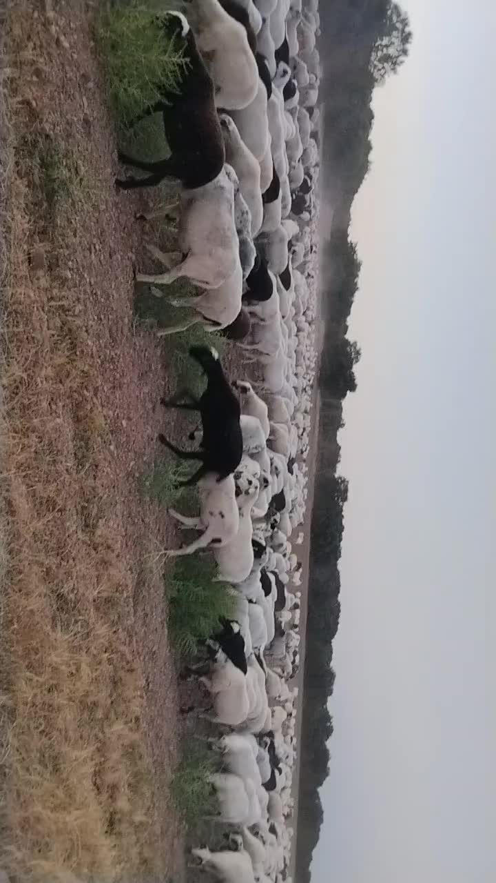 @Iv&aacute;n.