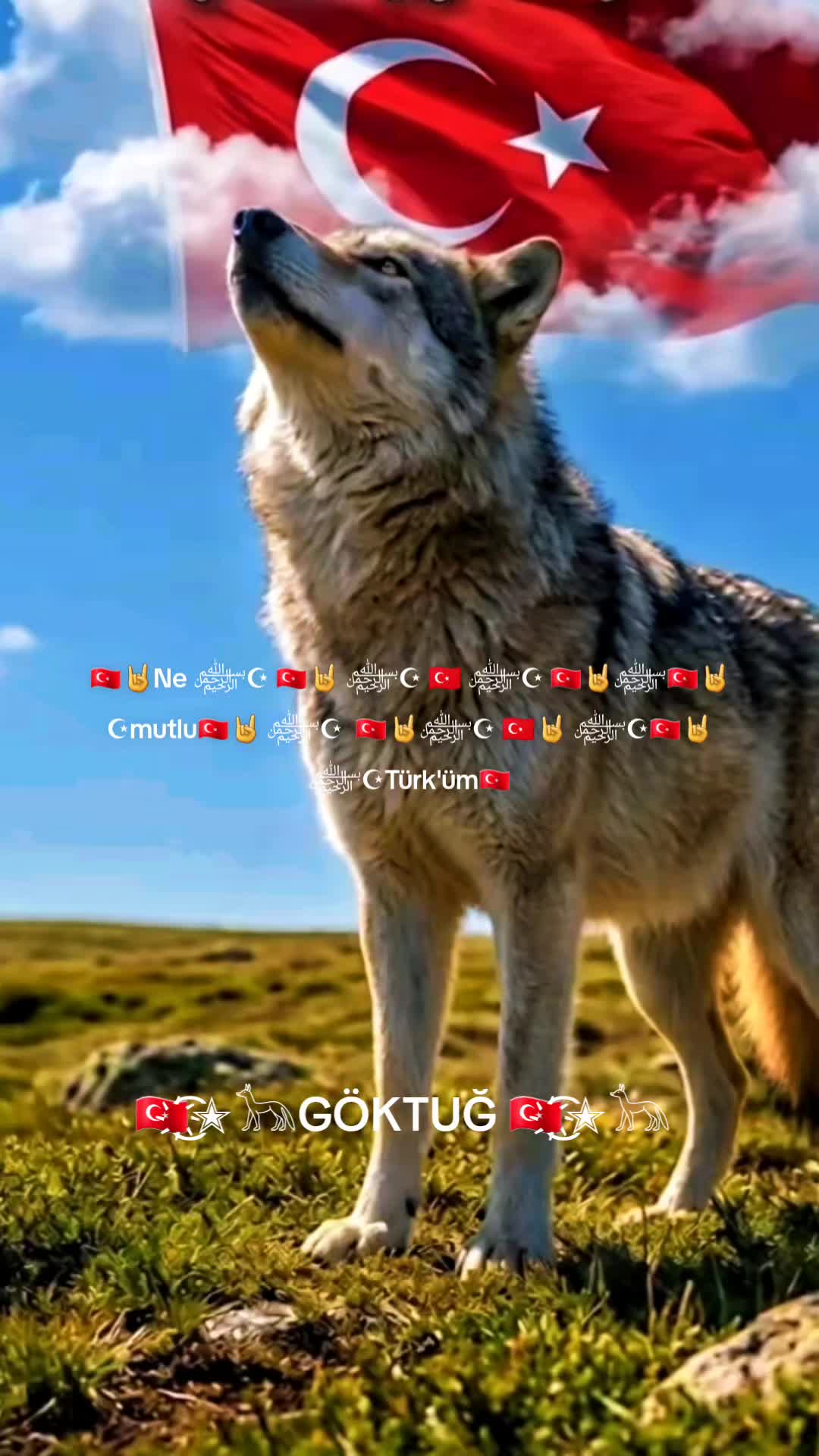 @🇹🇷҉͜͡✭𓃥GÖKTUĞ 🇹🇷҉͜͡✭𓃥
