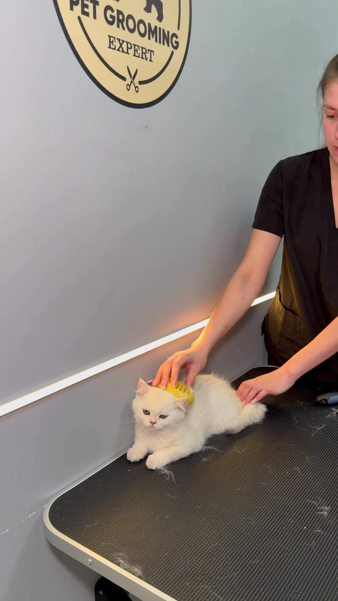 @PetGroomingExpert.md