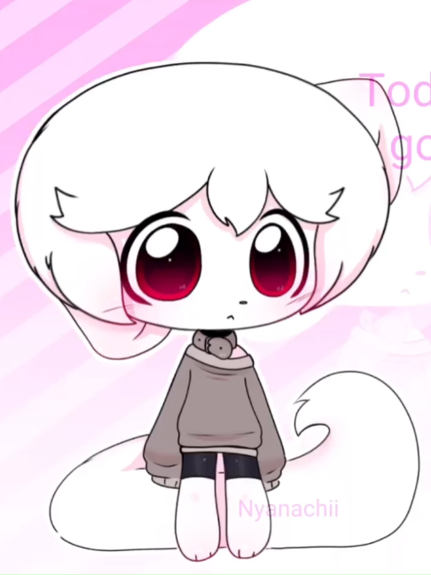 @‧˚꒰ nyanachii ꒱༘‧