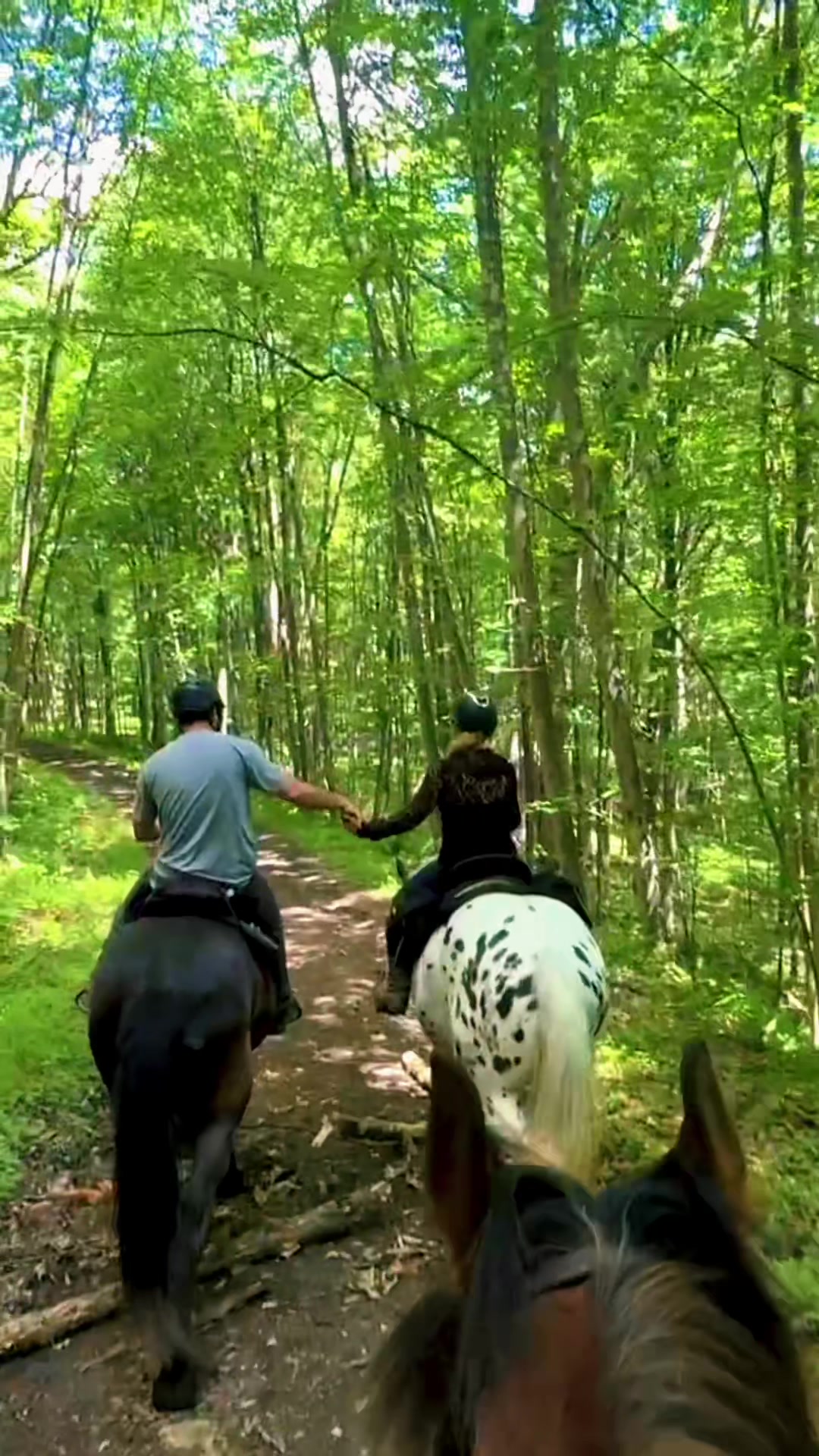 @Free Spirit Equestrian
