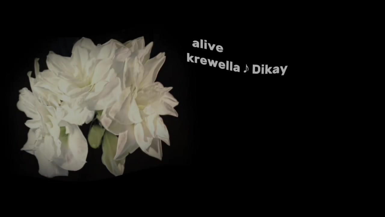 @๐๐๐ ๐๐ข๐ค๐๐ฒโ