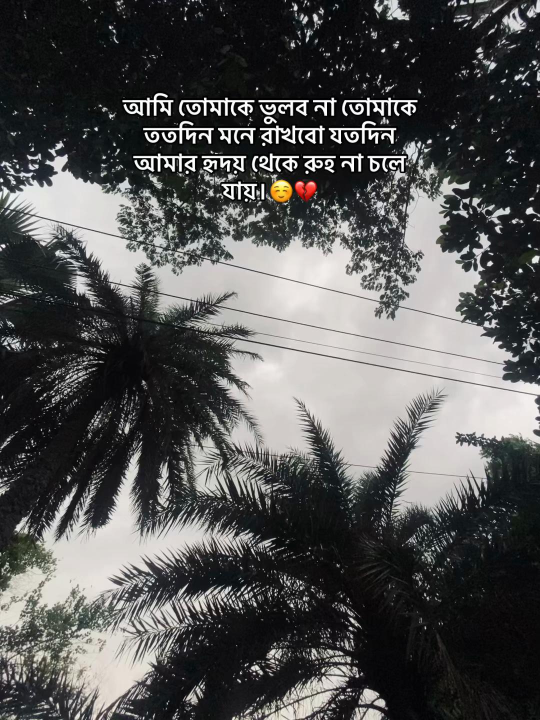 @S 🚩