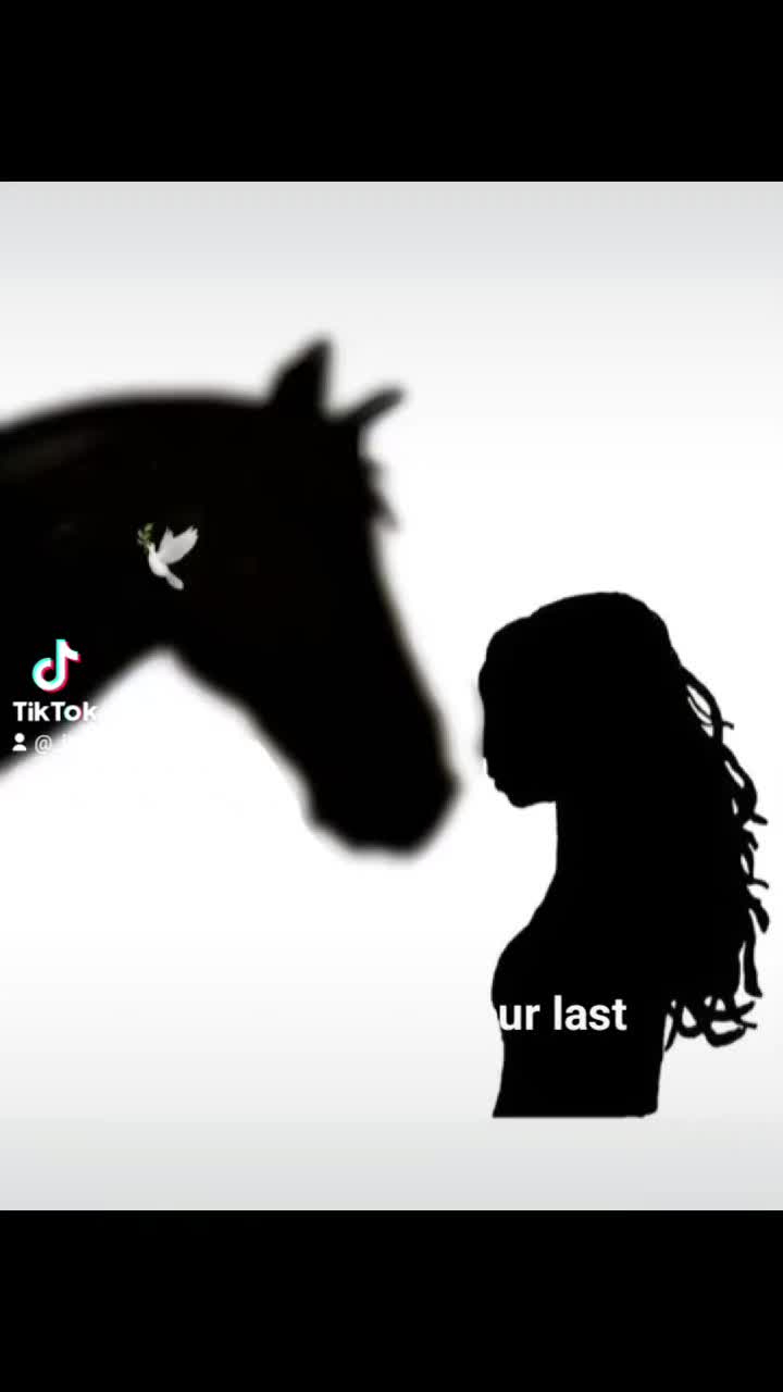 @🐴sophie🐴