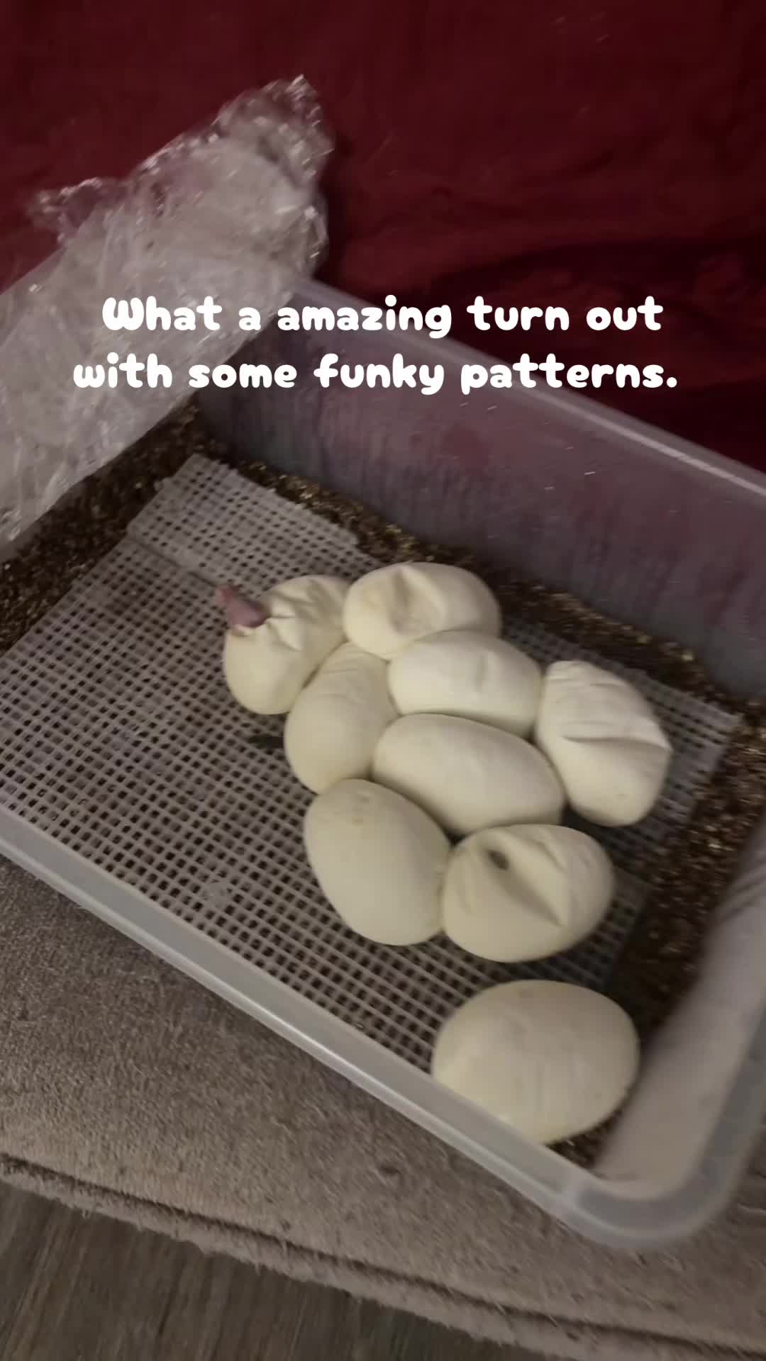 @Drewski750