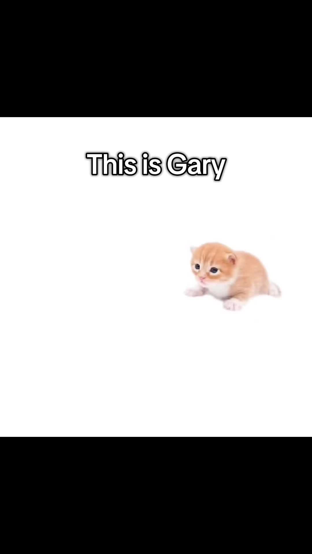 @Horia