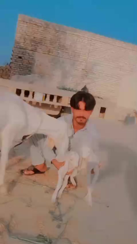 @Sh@hid😘 Pathan