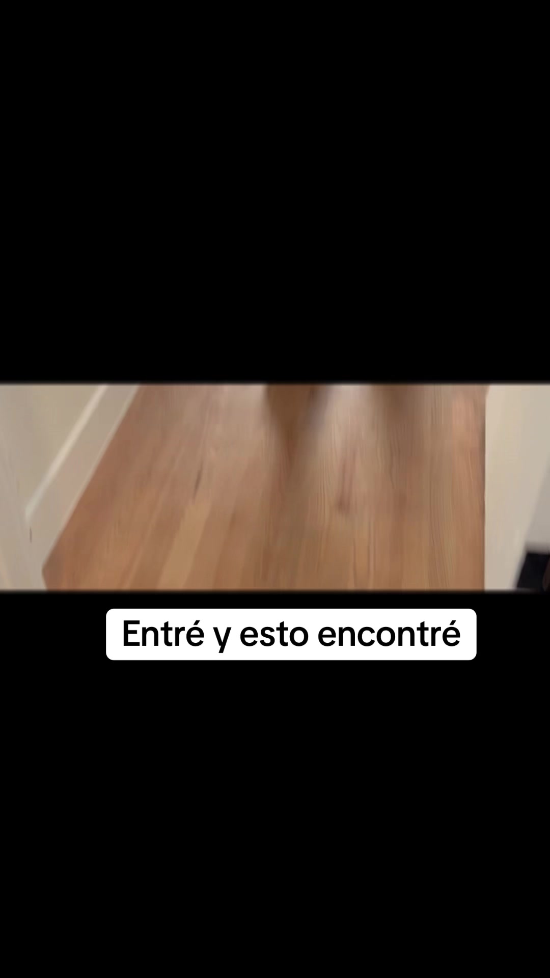@Raul Luna