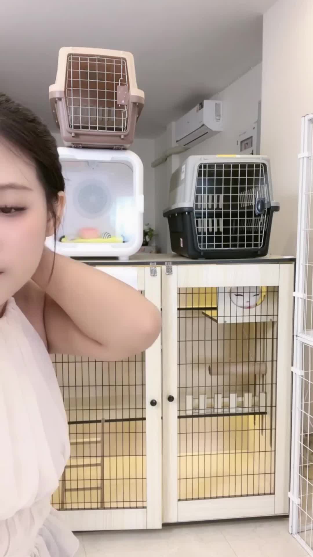 @petsland
