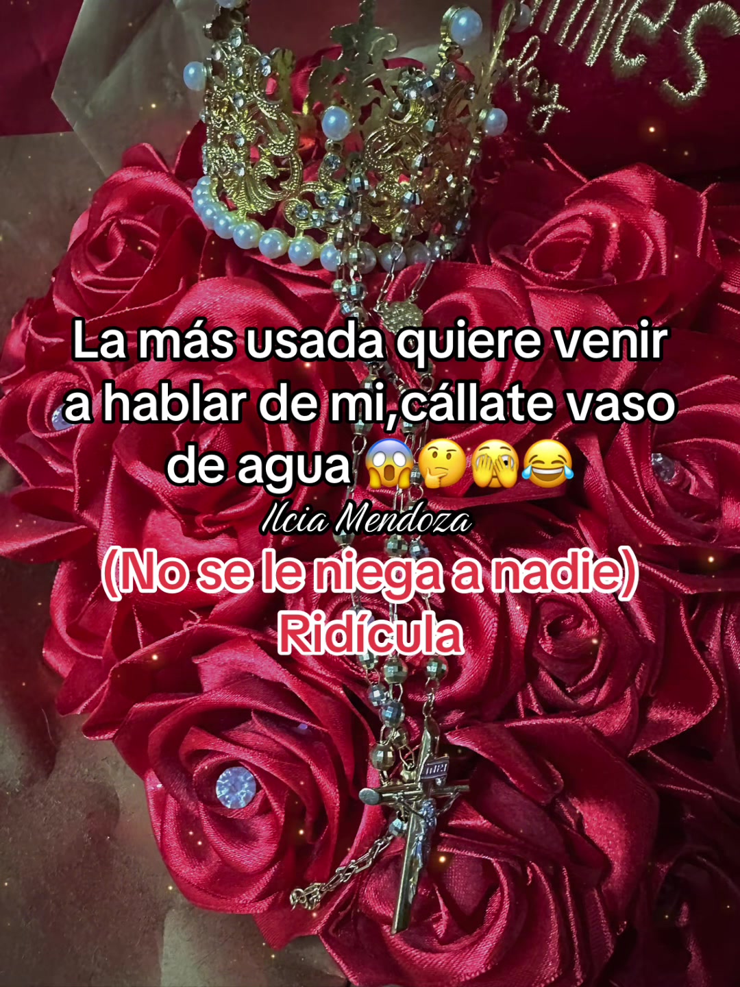 @Ilcia Mendoza🦋🌻🖤