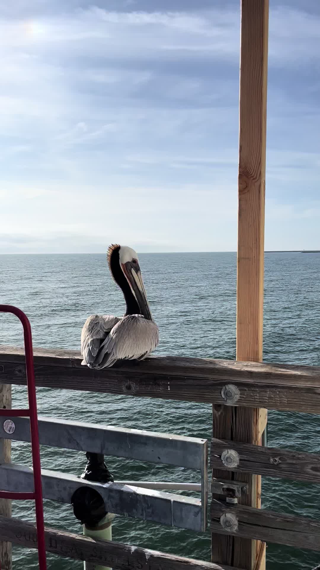 @nature is beautiful
