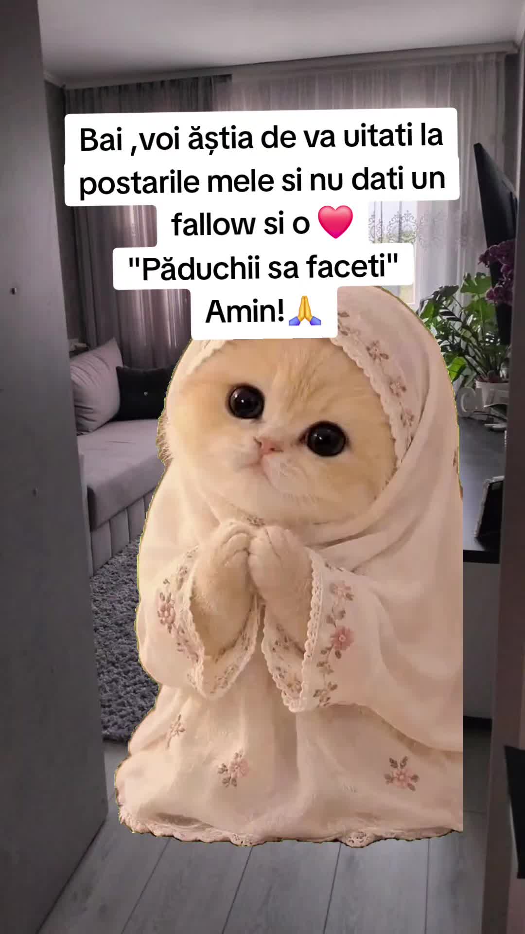 @Pastila de Râs😂