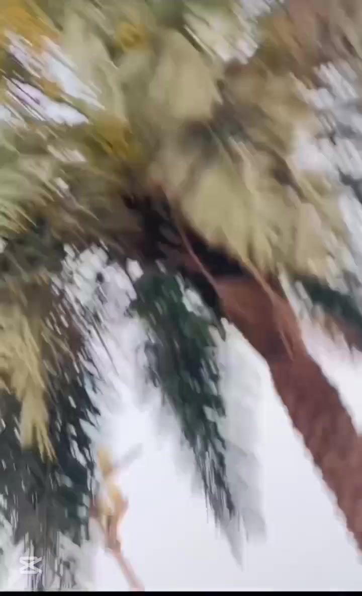 @𝑀ṛ𝐦ₒ𝐡ꜱⅈ𝓷