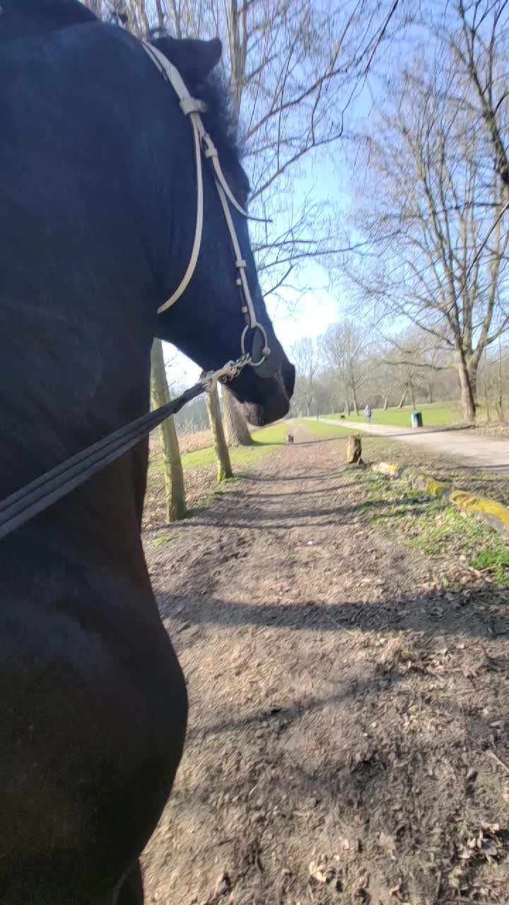 @🇳🇱Lana Van de schuur🇳🇱