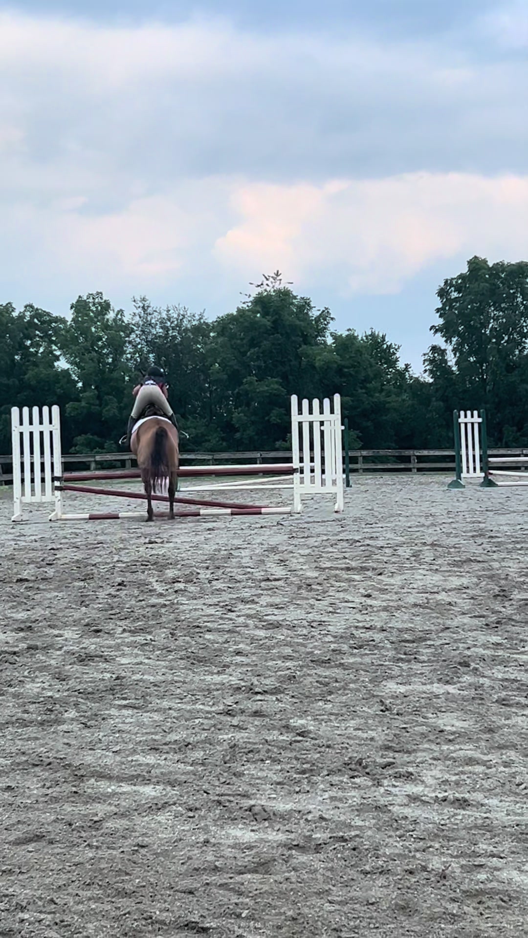 @Aftyn 🐎