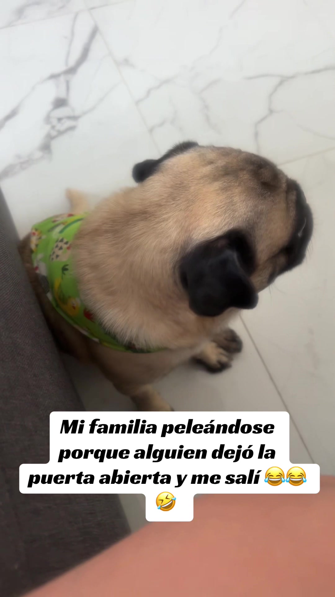 @YoselinTovar