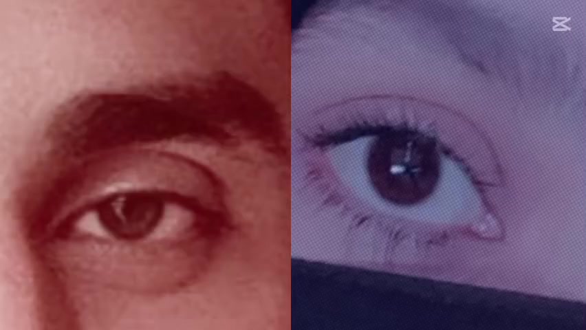 @🕊️🌸ـﮩﮩᎪຮ𝖍υ
