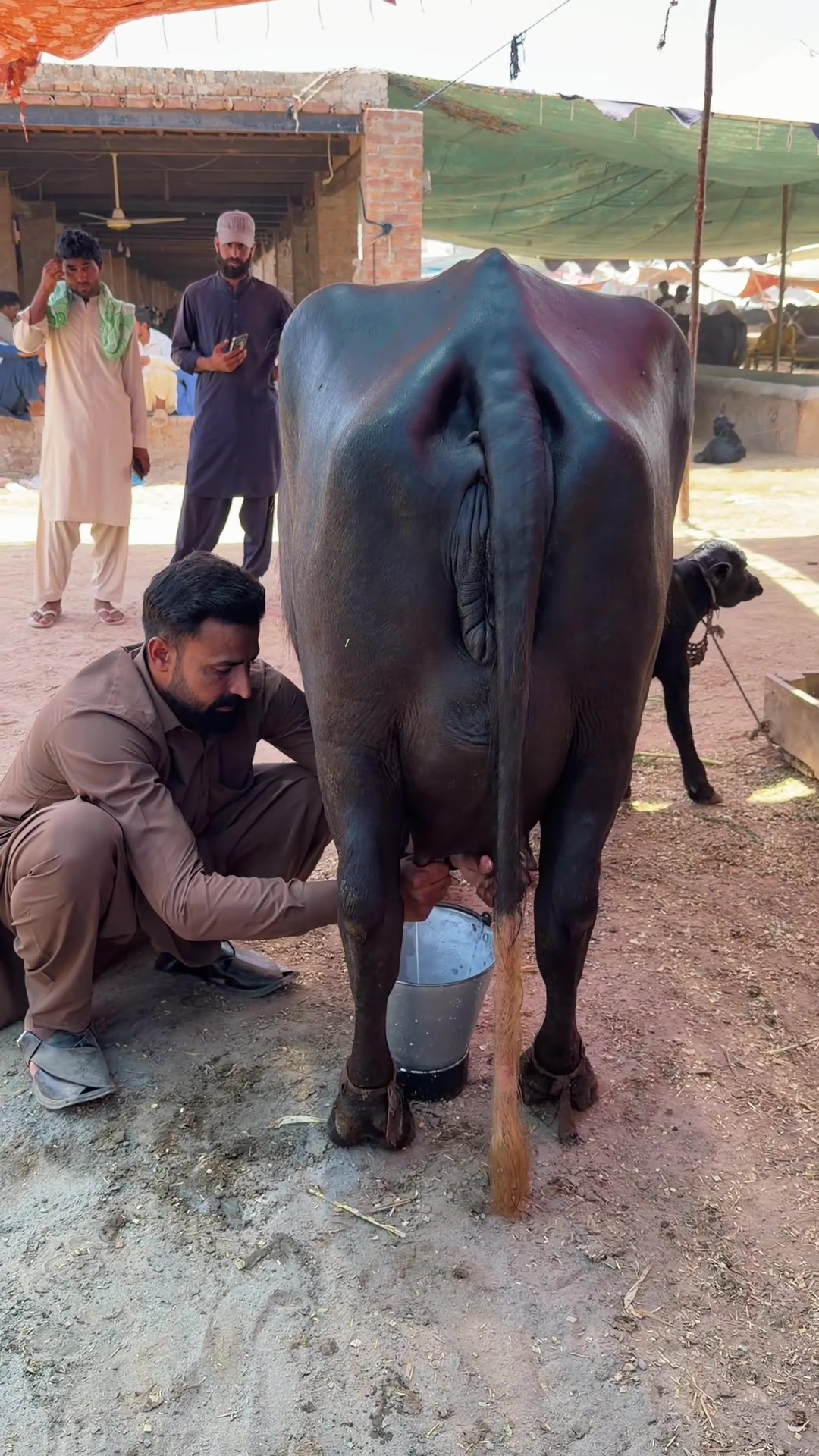 @waqarbhinder852