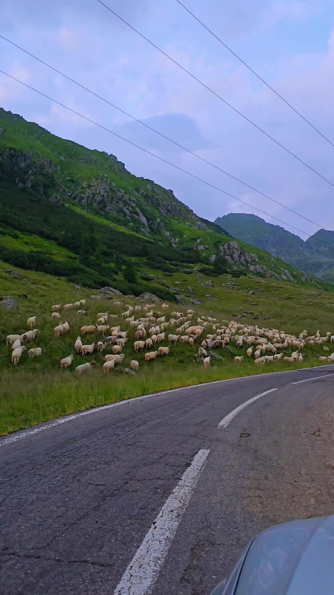 @Viața Satului Bihorean🌏