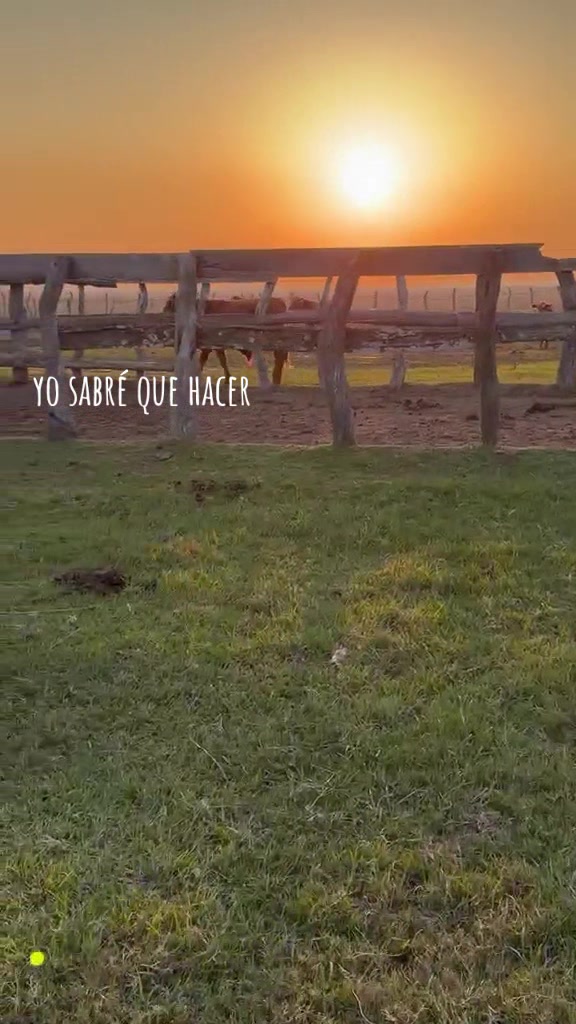 @Ramón_Batalla🫡