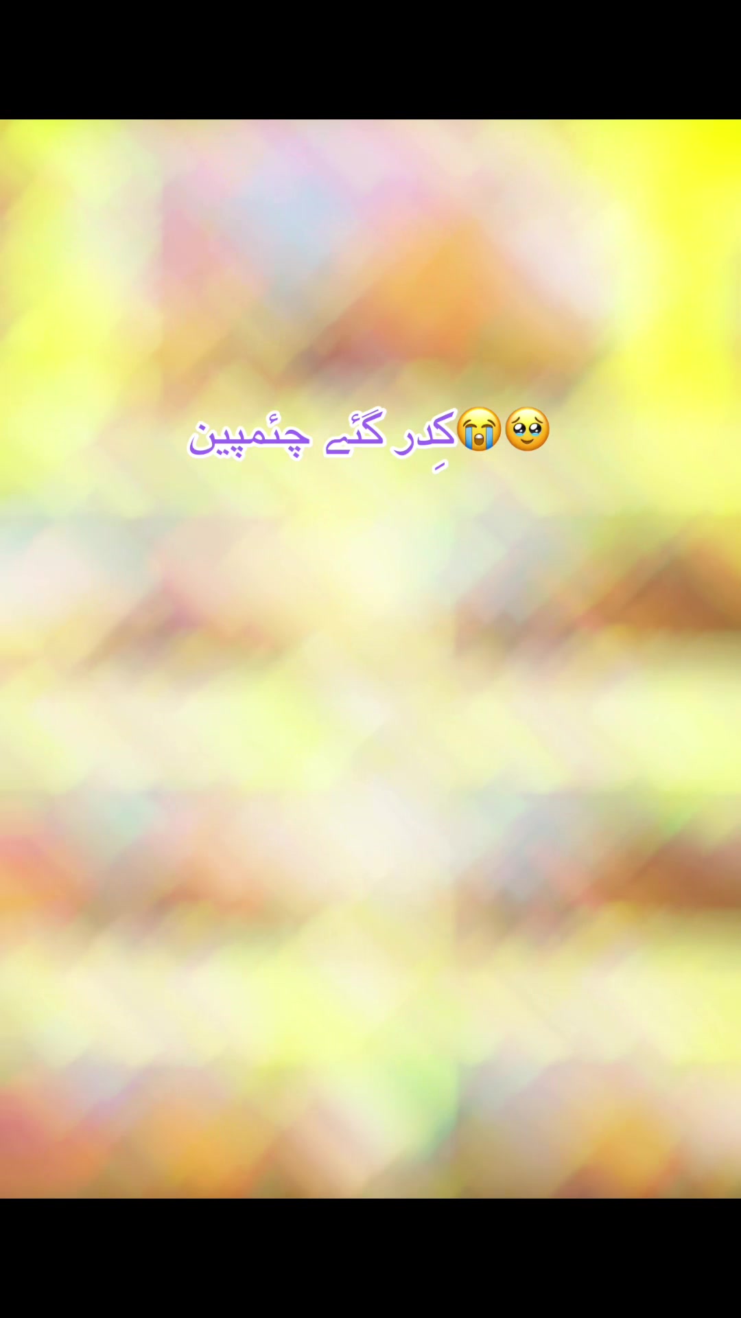 @👑💫پوٹھوہار داندی گروپ⚡️👑