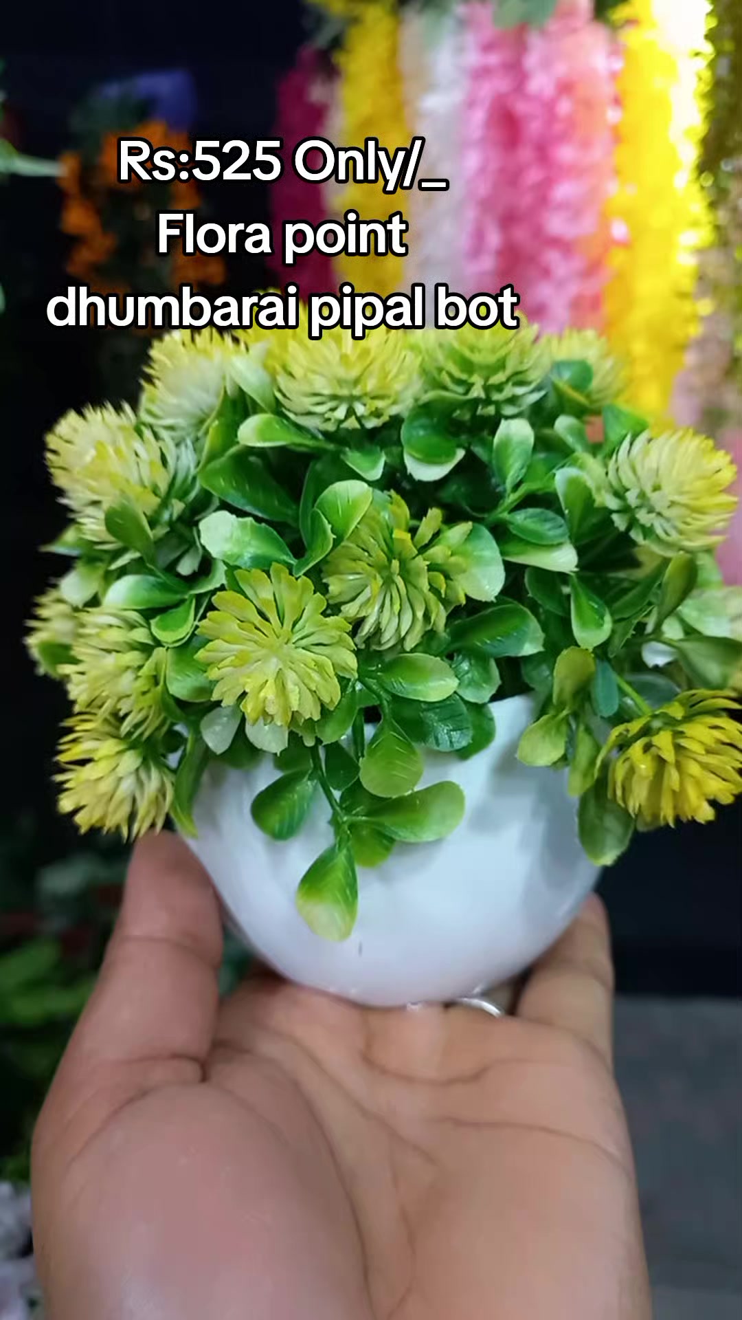 @Flora_p0int-dhumbarahi