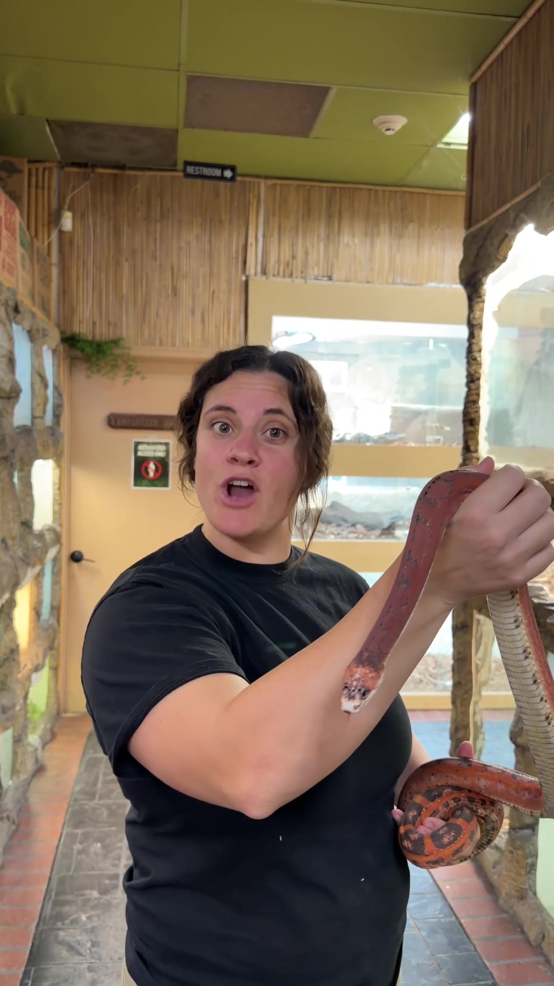 @The Reptile Zoo