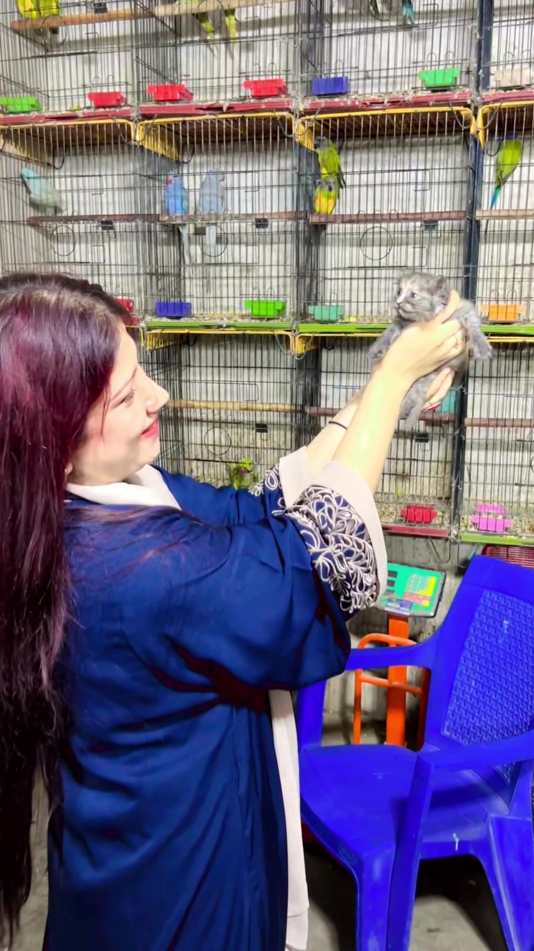 @Usama pet shop Karachi