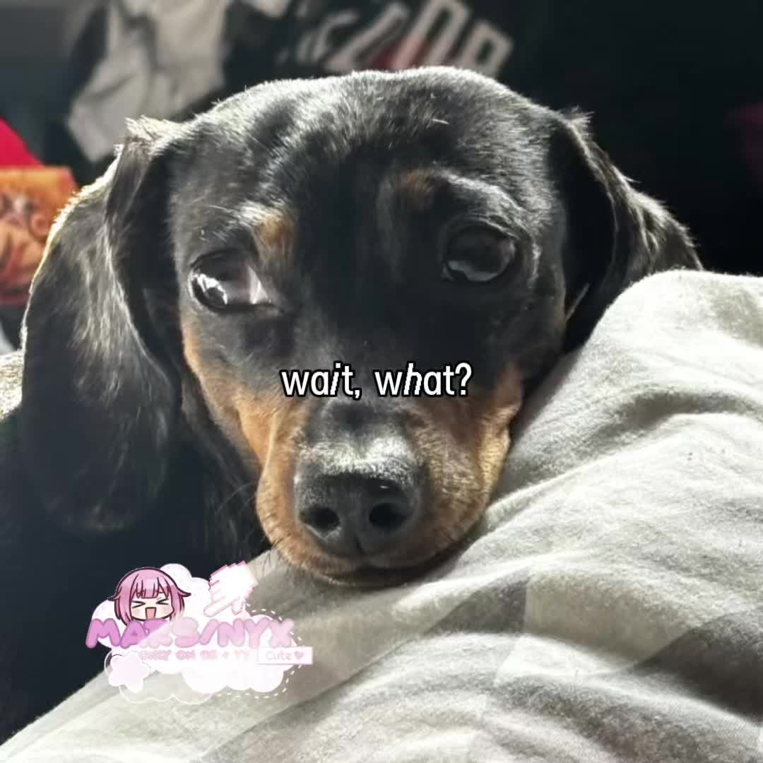@meg