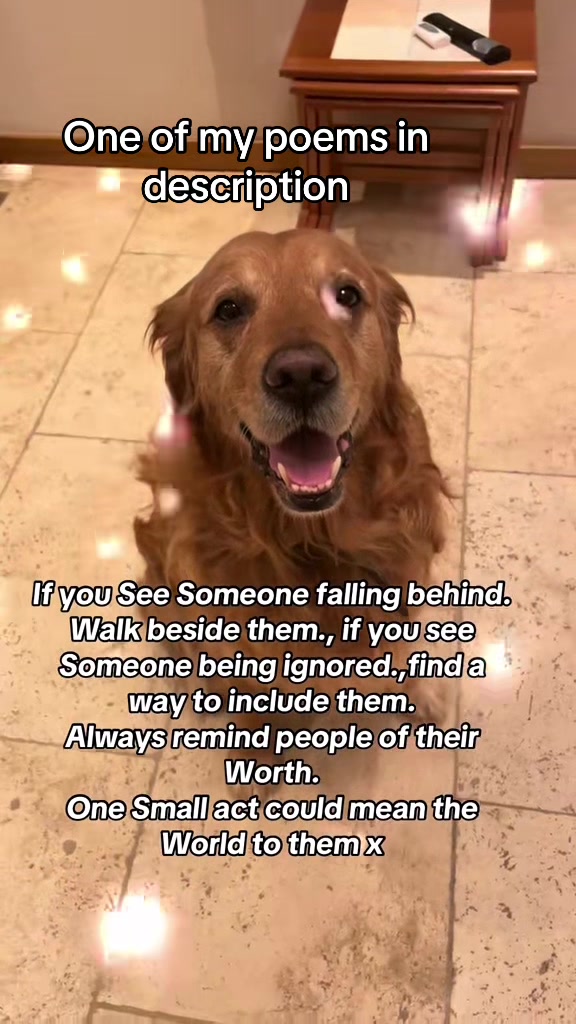 @Happy buddy