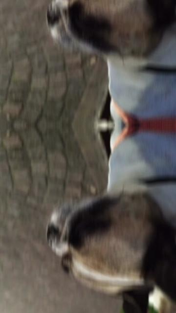 @c