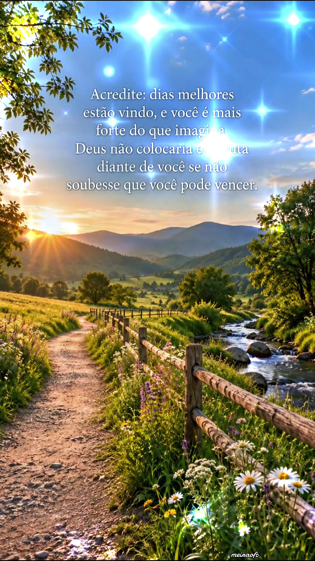 @Meiraofc