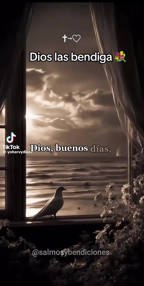 @🌻🦙🦉JC7⛰️🦅🧚🎀